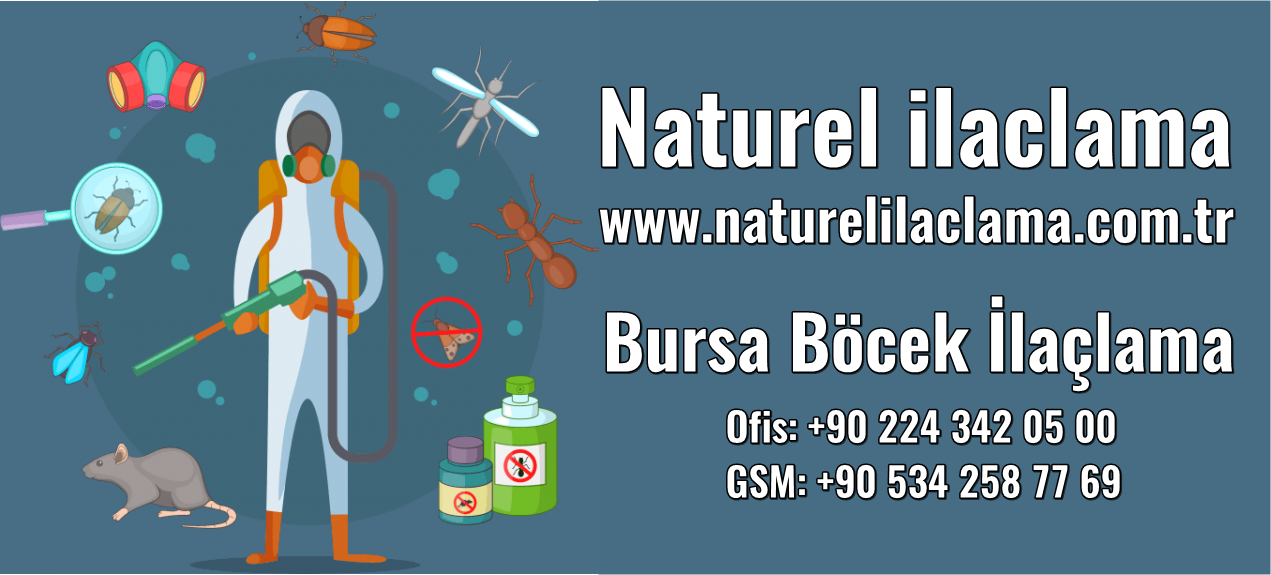 Bursa Böcek İlaçlama